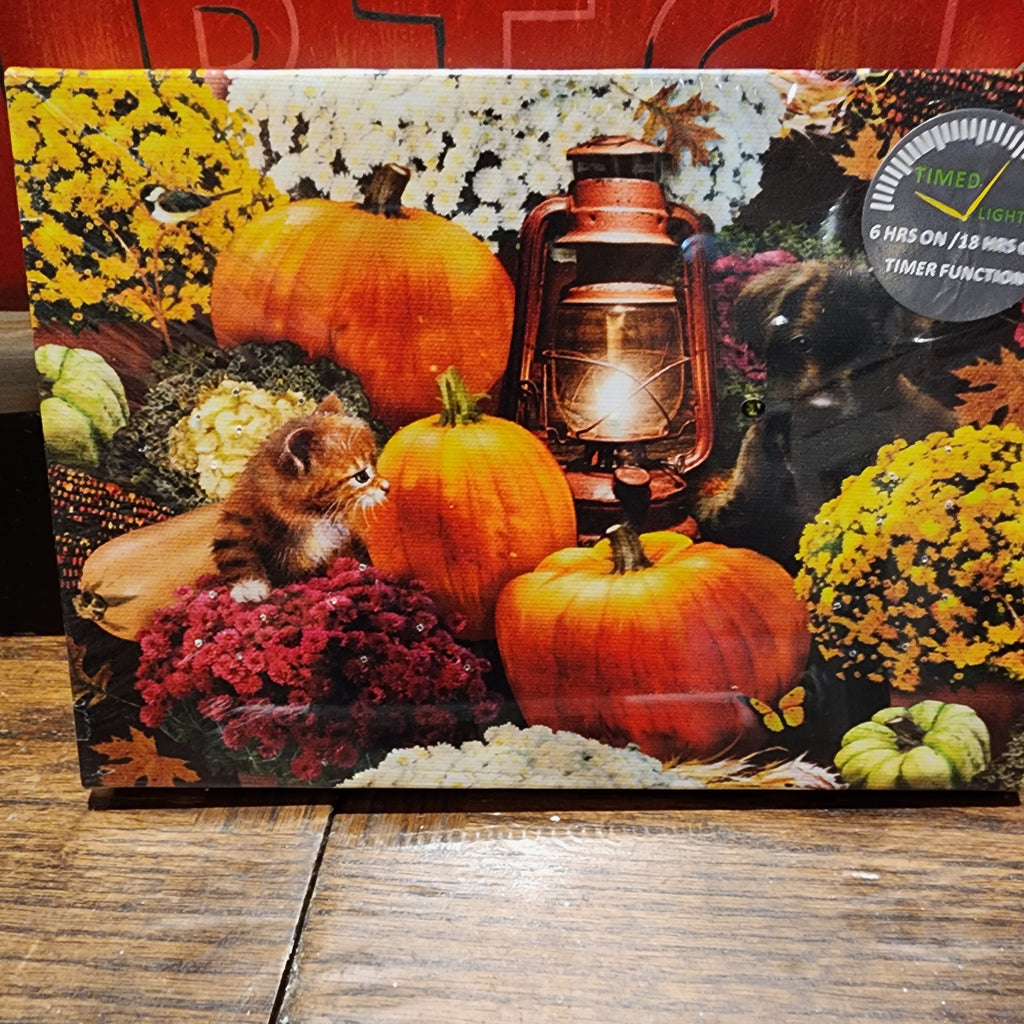 Fall Harvest LED Canvas