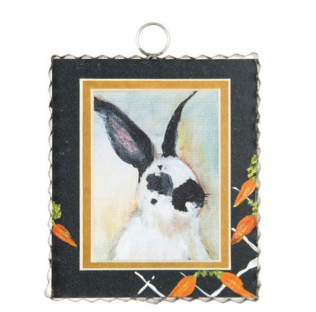 Bunny Portrait