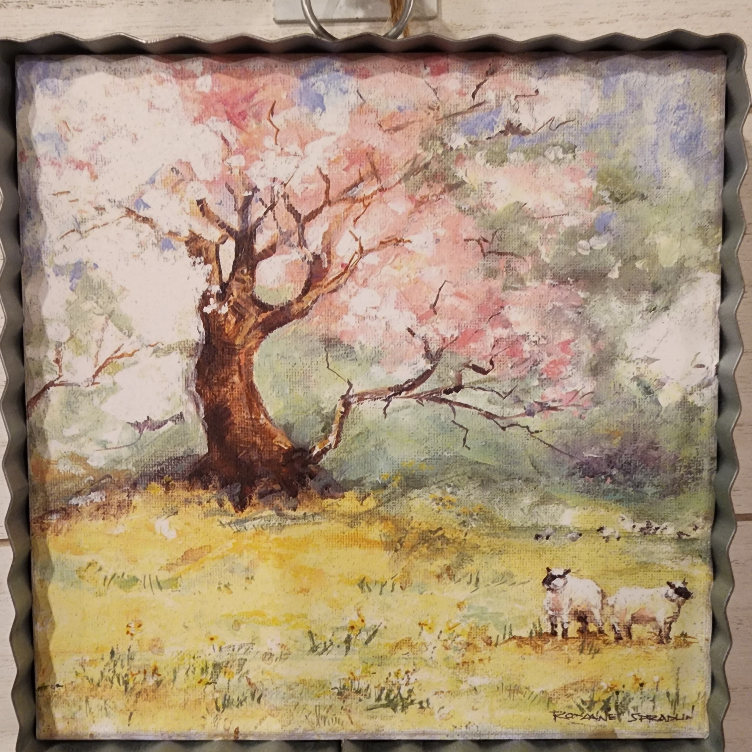 Spring Field