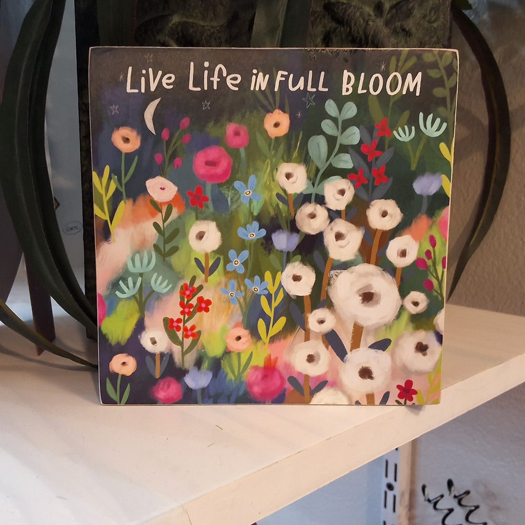 PBK Full Bloom
