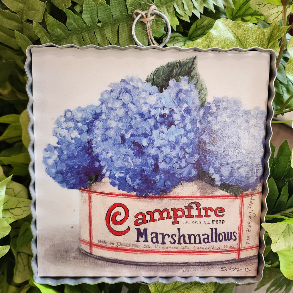 Campfire Hydrangeas