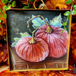 Velvet Pumpkins