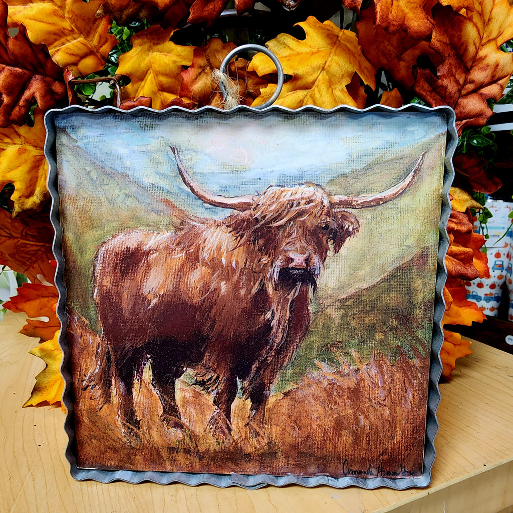 Highland Cow