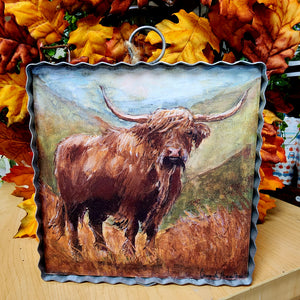 Highland Cow