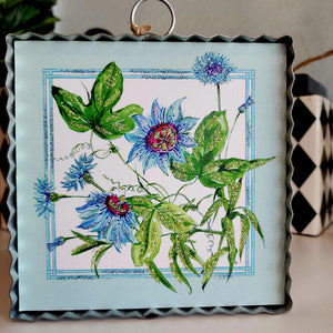 Passion Flowers