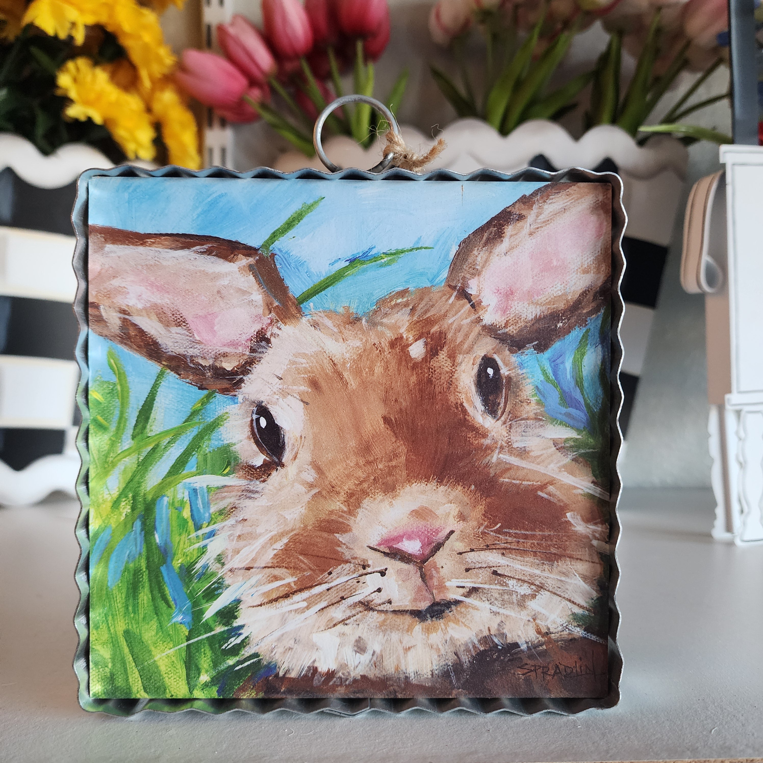 Bunny Close Up