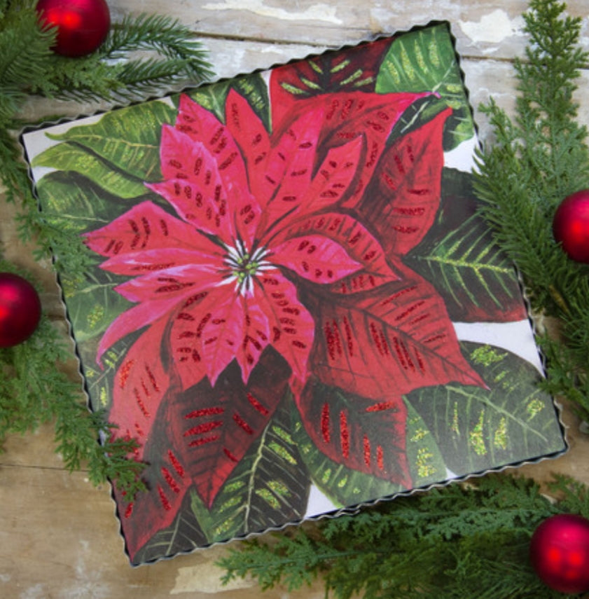 Brilliant Poinsettia