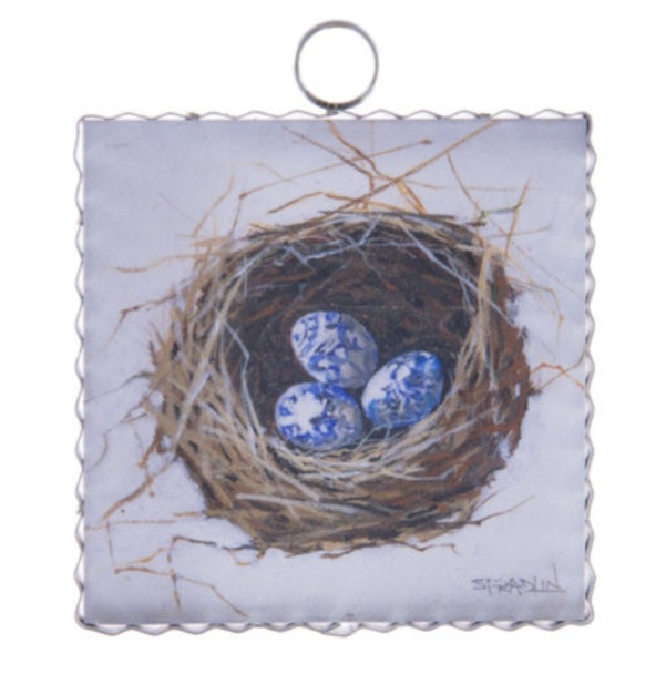 Nest of Blue Eggs