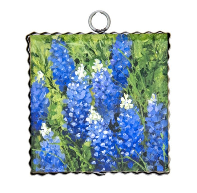 Bluebonnets